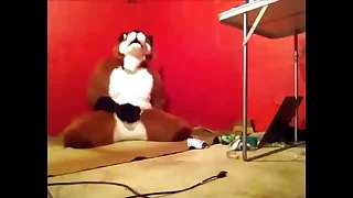 Foxy having some fun&period;